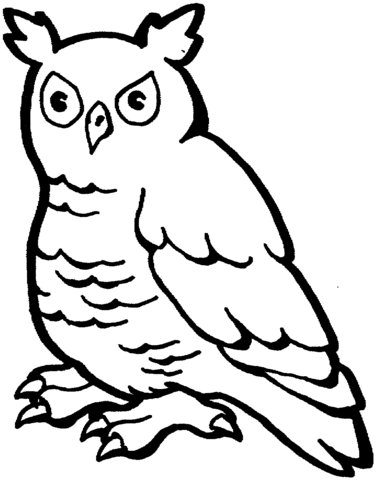 Horned Owl Coloring Page